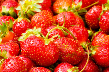 Lots of strawberries arranged as the background