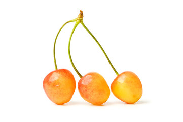 Cherries isolated on the white background