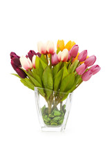 Colourful tulips isolated on the white background