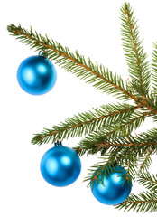 Fototapeta na wymiar christmas tree branch with blue decoration