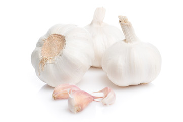 Garlic