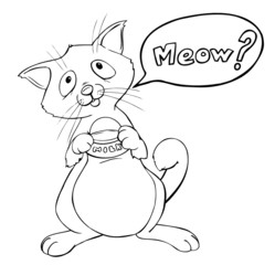 Katze, Cat, Hunger, betteln, süß, niedlich, Katzenfutter