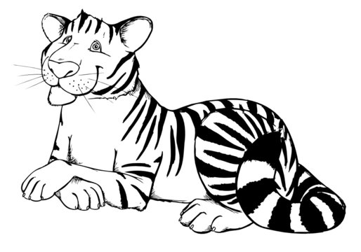 Tiger, Zoo, Raubkatze, Dschungel, Asien, Indien