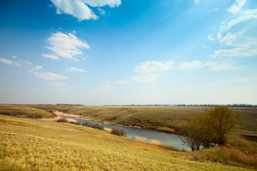 Fototapeta premium spring landscape