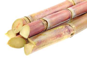 tiges cannes sucrières fond blanc