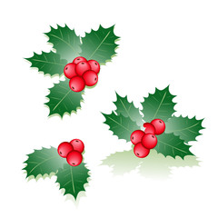 Stechpalmen Elemente