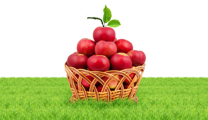 Basket of apples