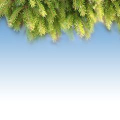 Obraz premium Mit Tannenzweigen dekoriert!