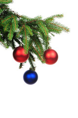 Pine branches and christmas decoration