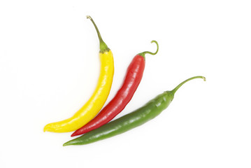 Coloured chili peppers