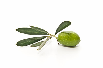 Aceite de oliva 19