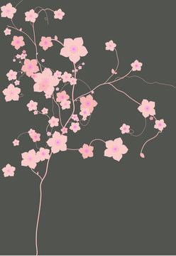 pink flowers