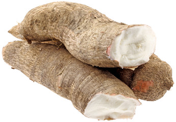 manioc, Manihot esculenta, racine tropicale fond blanc
