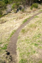 curve of path