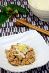 fermented soybeans