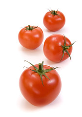 Tomato