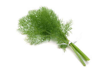 green dill