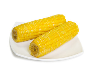 cooked  corn cob