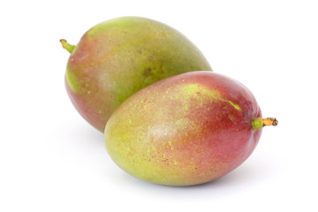 mango fruits