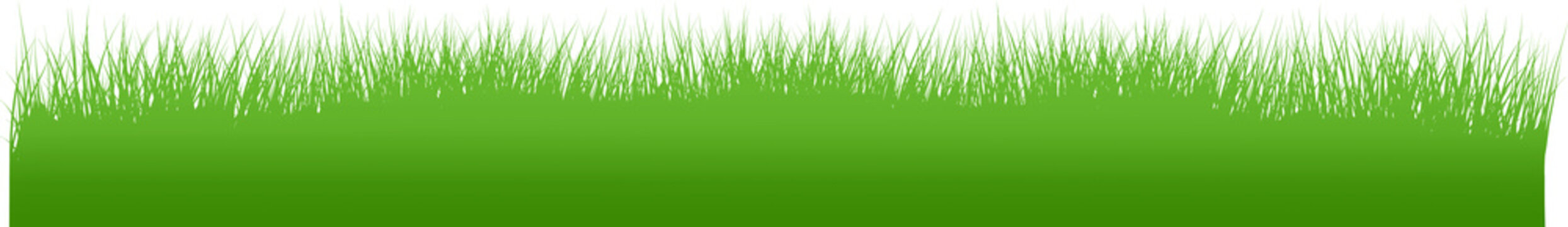 grass01