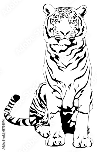 新鮮な虎 イラスト 白黒 フリー スーパーイラストコレクション