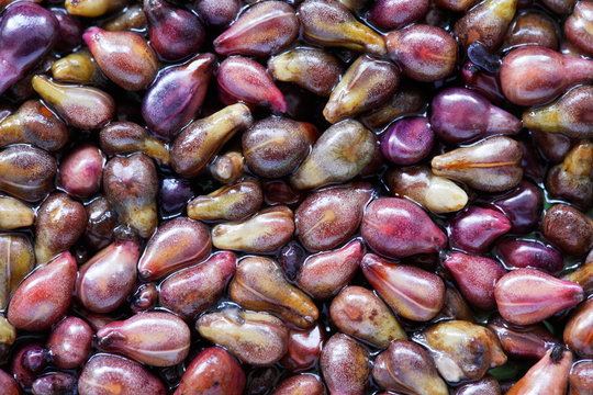Grapes seeds