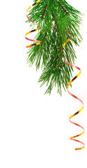 pine branch with tinsel