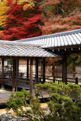 Les passerelles denanzen ji en automne