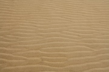Fototapeta na wymiar Beach sand waves warm texture background