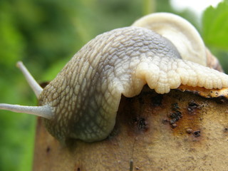 OLYMPUS DIGITAL CAMERA © bnorbert3