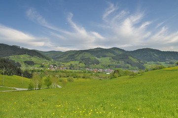 Fototapeta na wymiar Kinzigtal im Schwarzwald