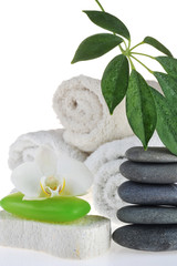 Obraz na płótnie Canvas towel and green soap