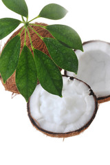 broken ripe coconut