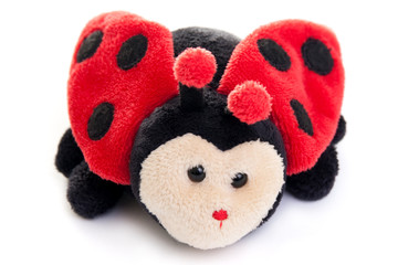 ladybird toy