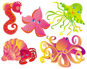 Many different sea mammals