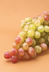 Bunch of Grapes