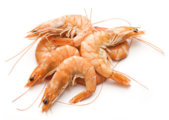 Prawn