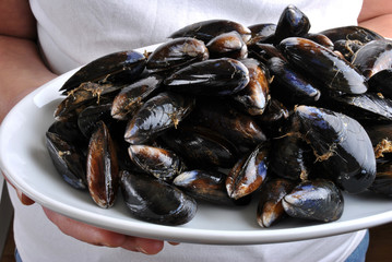 cooked organic mussel served on a white plate