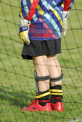 Fototapeta premium protezioni portiere