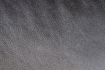 Leather Background