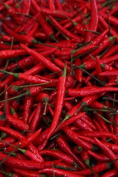 Food Serie Peperoni