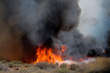 Fierce brushfire with flames and black smoke