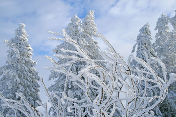 Winterlandschaft