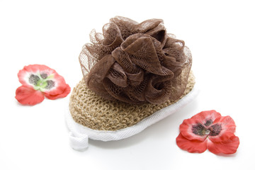 Schwämme mit Blüten