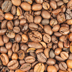Background made of coffee seeds