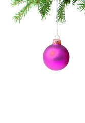 Branch with a Christmas toy