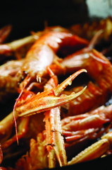 Scampi crabs prepared for meal