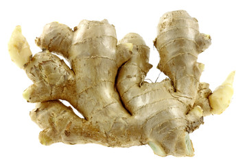 racine gingembre frais, fond blanc