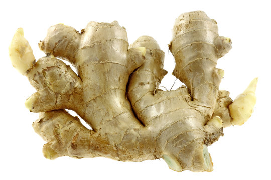 racine gingembre frais, fond blanc