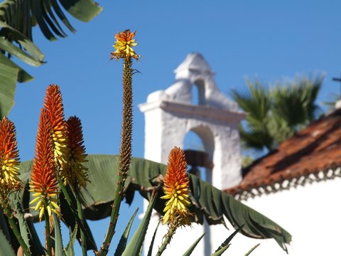Flower church